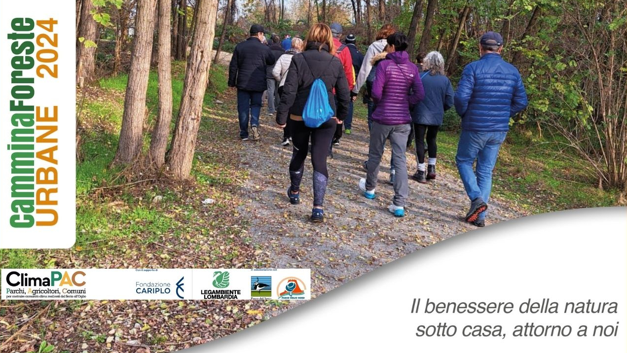 Parco del Serio. Cammina foreste 2024